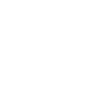 NSP logo
