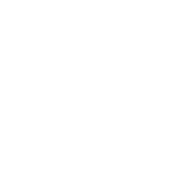 NSP logo